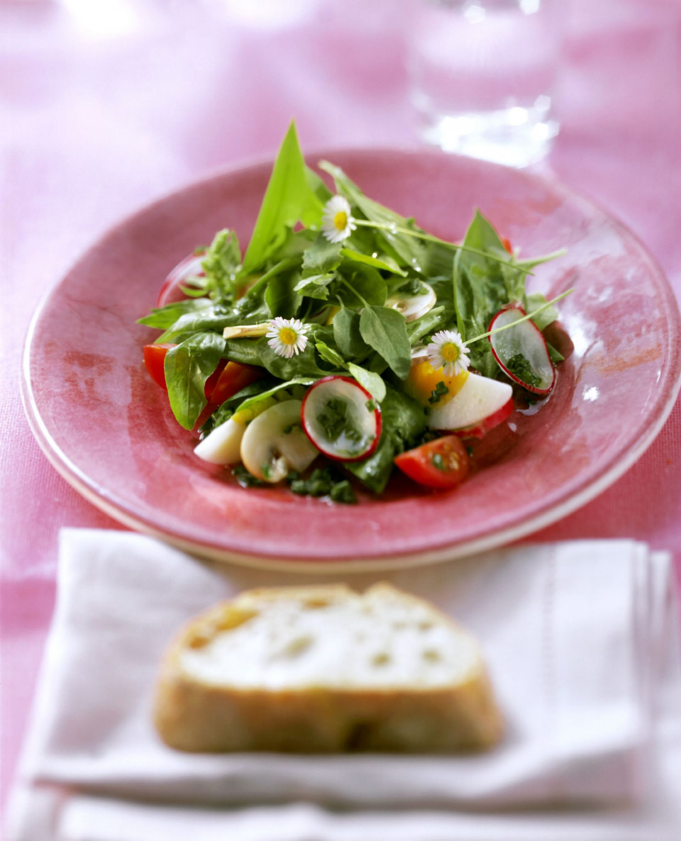 Bio Bärlauch-Spinat-Salat