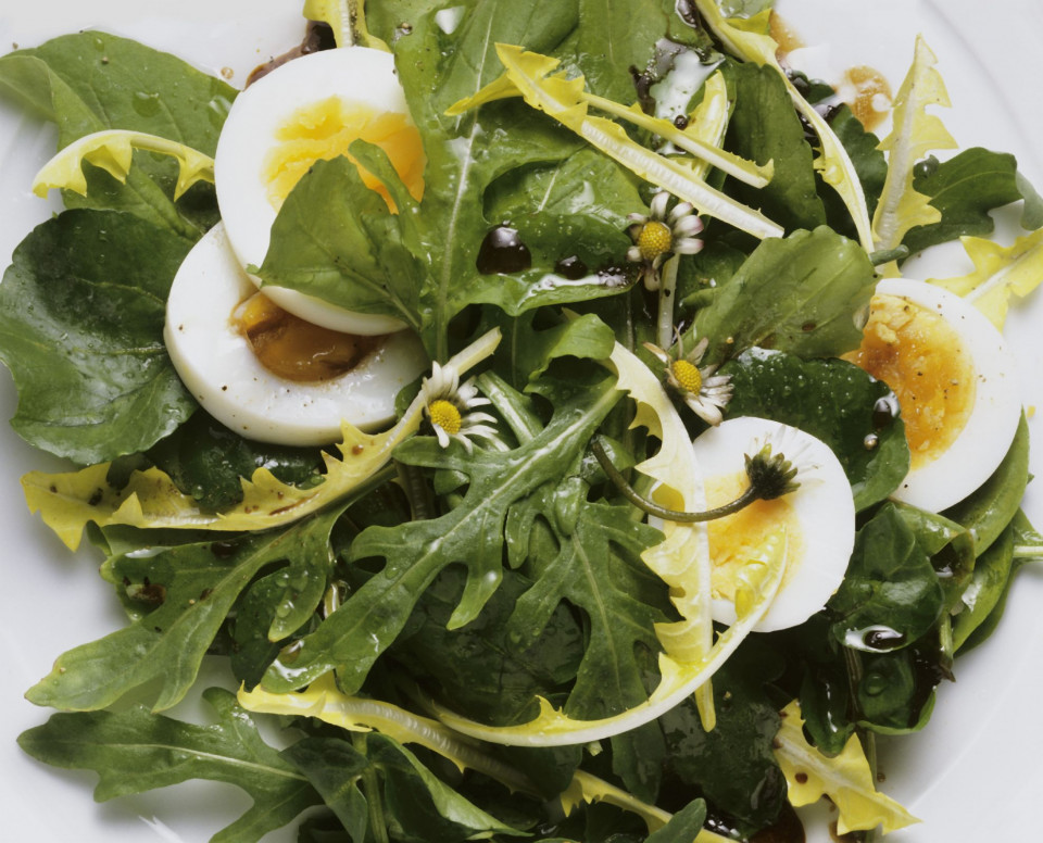 Bio Kräutersalat mit Ei und Senfdressing