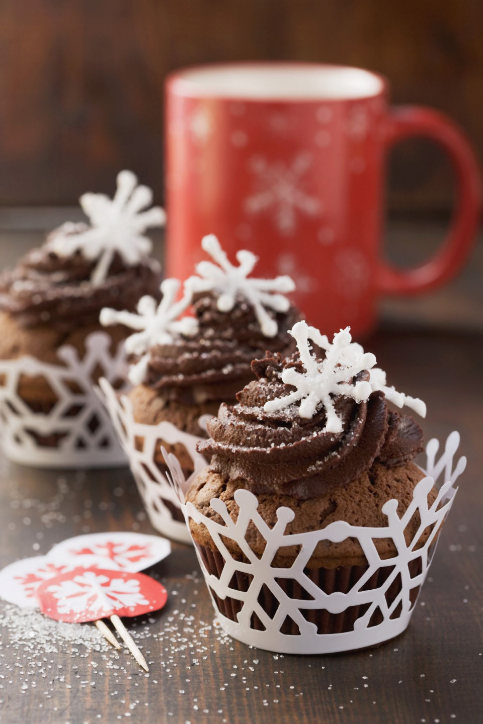 Bio Winterliche Schokoladen-Cupcakes