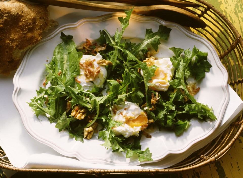 Bio Salat mit Löwenzahn, Bacon und Eiern